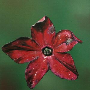 Schein, H09, Öl auf Leinwand, 2005/06 von Jan Czerwinski