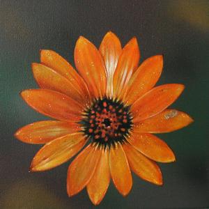 Schein, H11, Öl auf Leinwand, 2005/06 von Jan Czerwinski